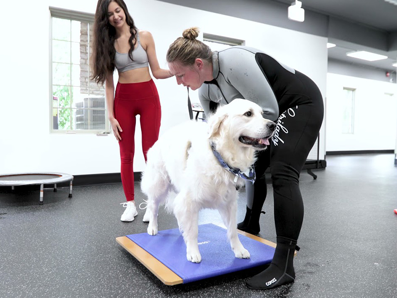 a woman standing beside a dog on a mat